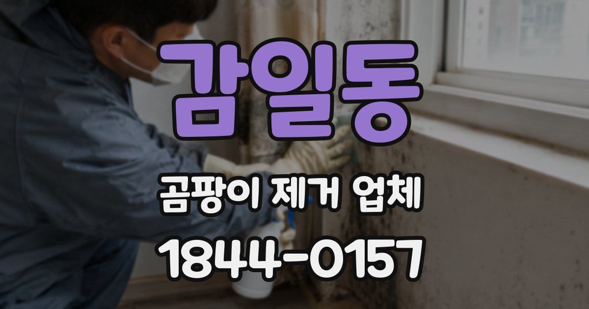 감일동 곰팡이 제거 업체