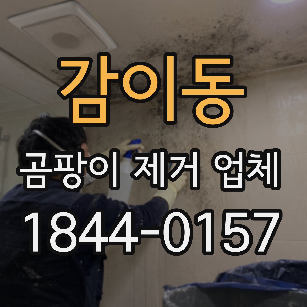 감이동 곰팡이 제거 업체