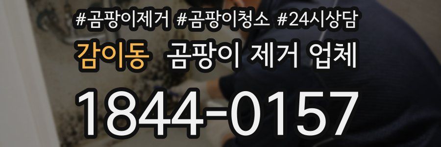 감이동 곰팡이 제거 업체