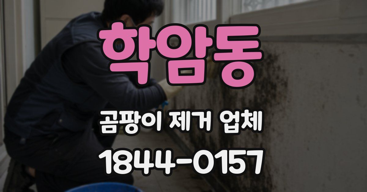 학암동 곰팡이 제거 업체