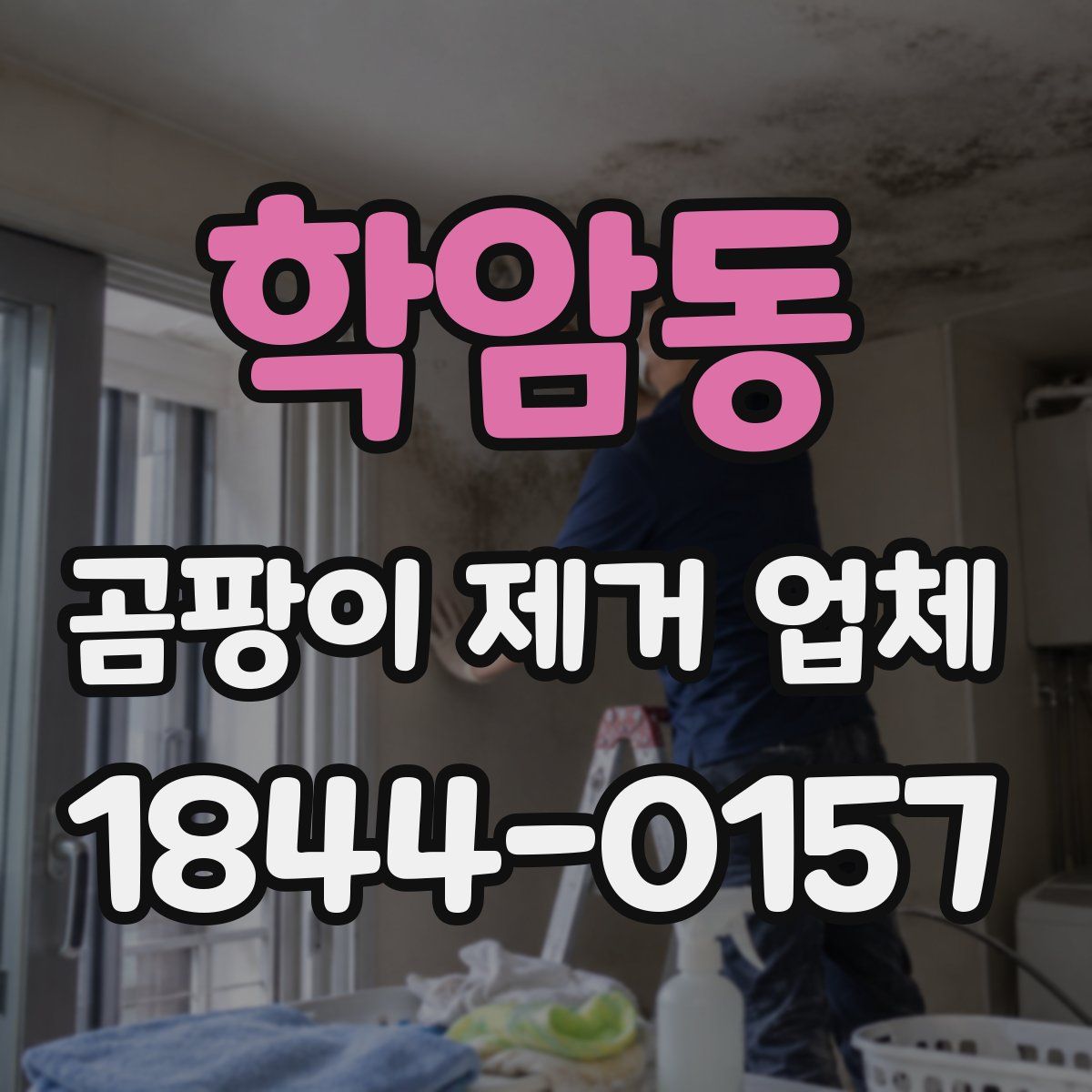 학암동 곰팡이 제거 업체