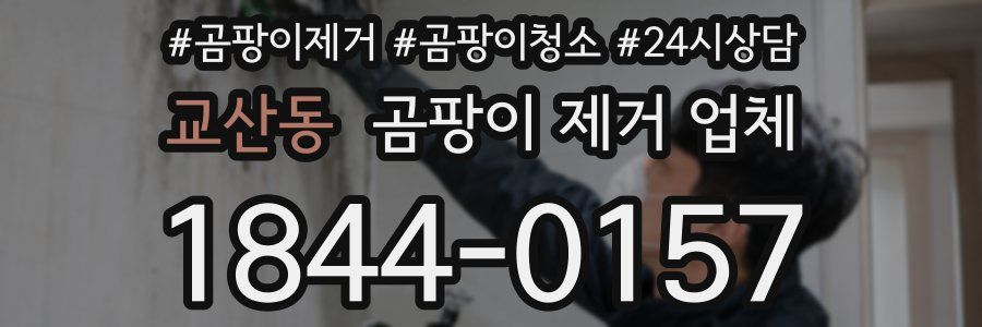 교산동 곰팡이 제거 업체
