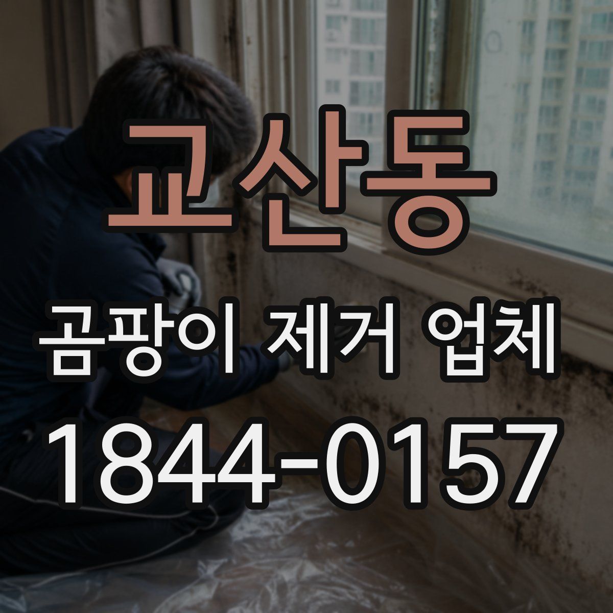 교산동 곰팡이 제거 업체