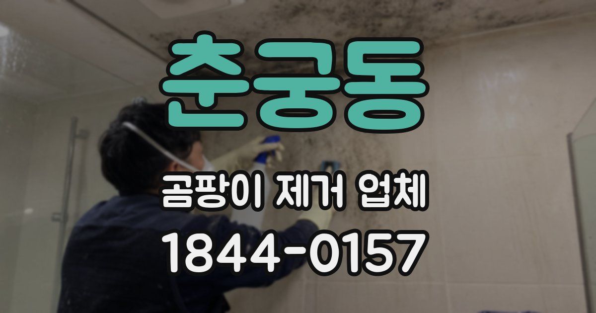 춘궁동 곰팡이 제거 업체