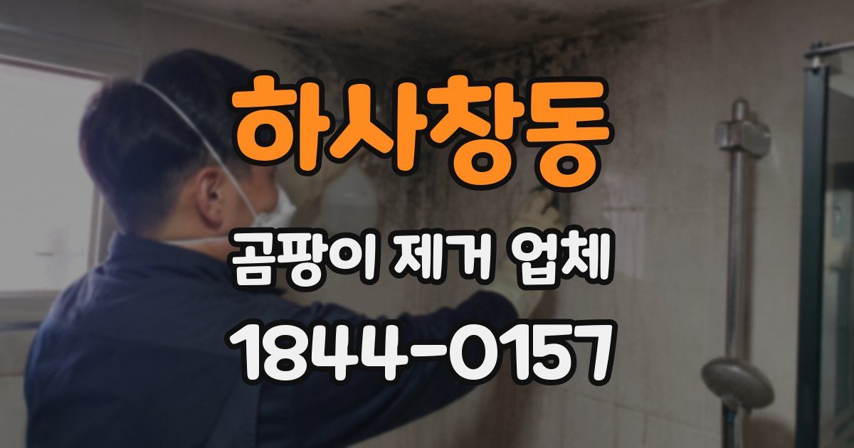 하사창동 곰팡이 제거 업체