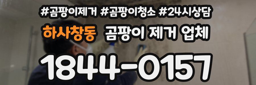 하사창동 곰팡이 제거 업체