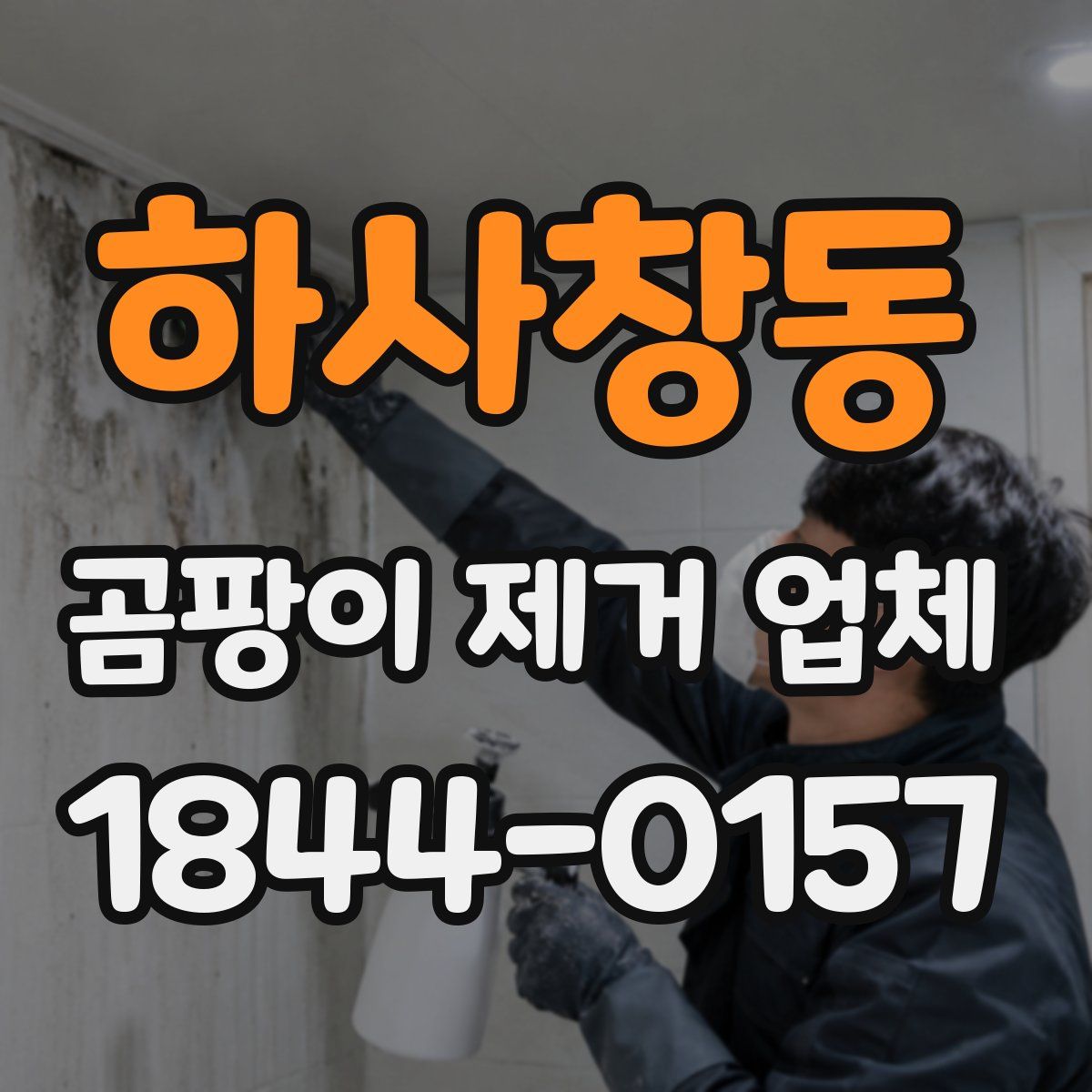 하사창동 곰팡이 제거 업체