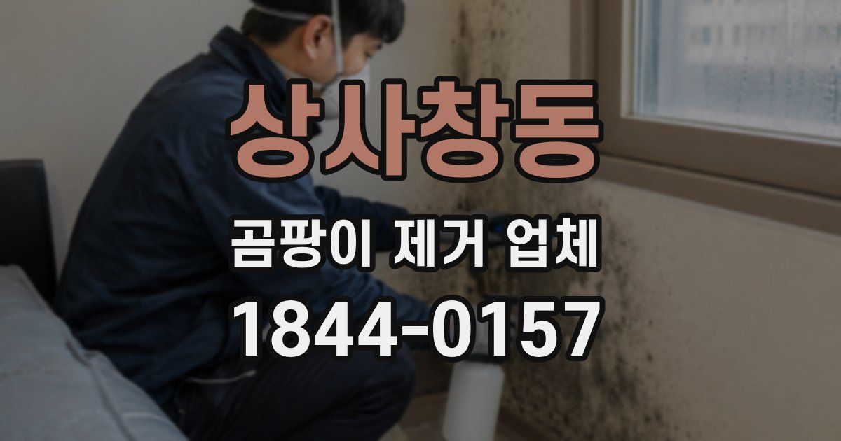 상사창동 곰팡이 제거 업체