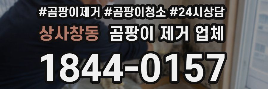 상사창동 곰팡이 제거 업체