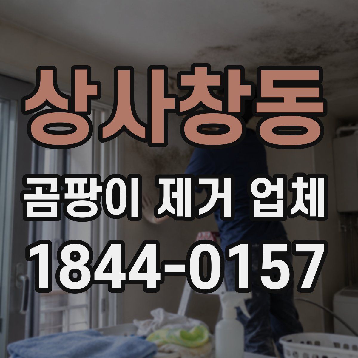 상사창동 곰팡이 제거 업체