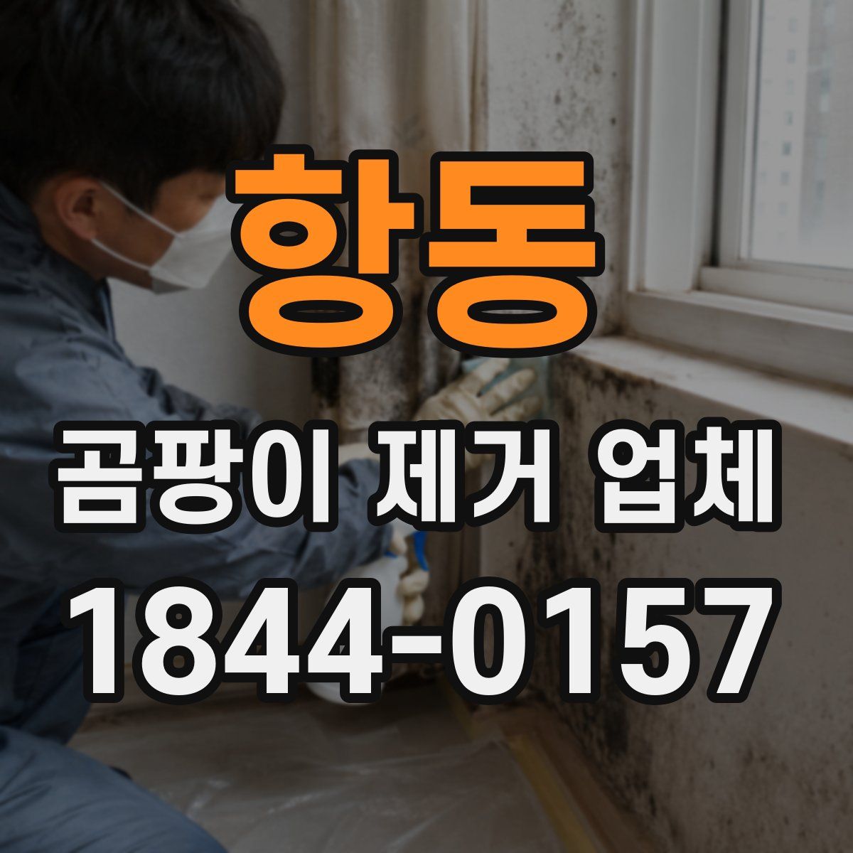 항동 곰팡이 제거 업체