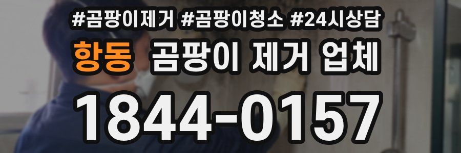 항동 곰팡이 제거 업체