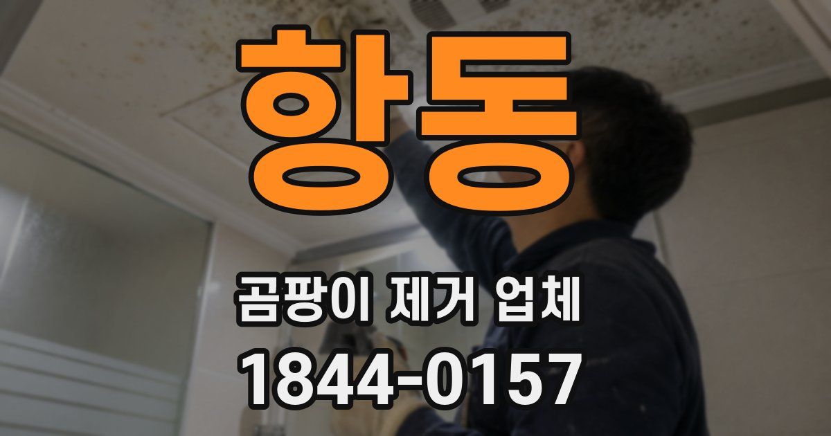 항동 곰팡이 제거 업체