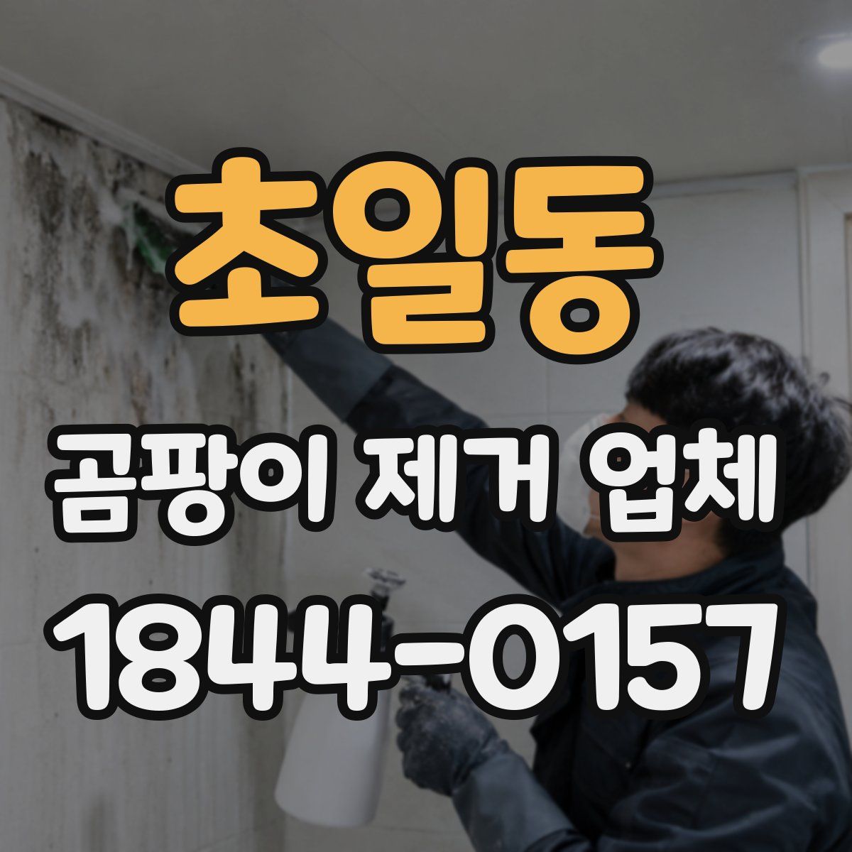 초일동 곰팡이 제거 업체