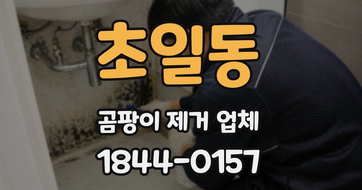 초일동 곰팡이 제거 업체