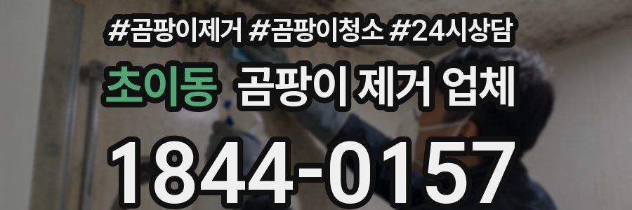 초이동 곰팡이 제거 업체