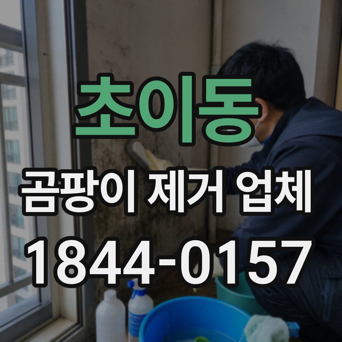 초이동 곰팡이 제거 업체