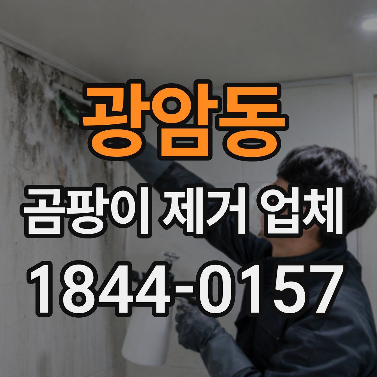 광암동 곰팡이 제거 업체