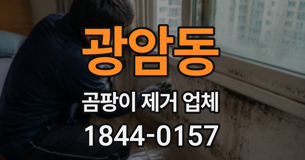 광암동 곰팡이 제거 업체
