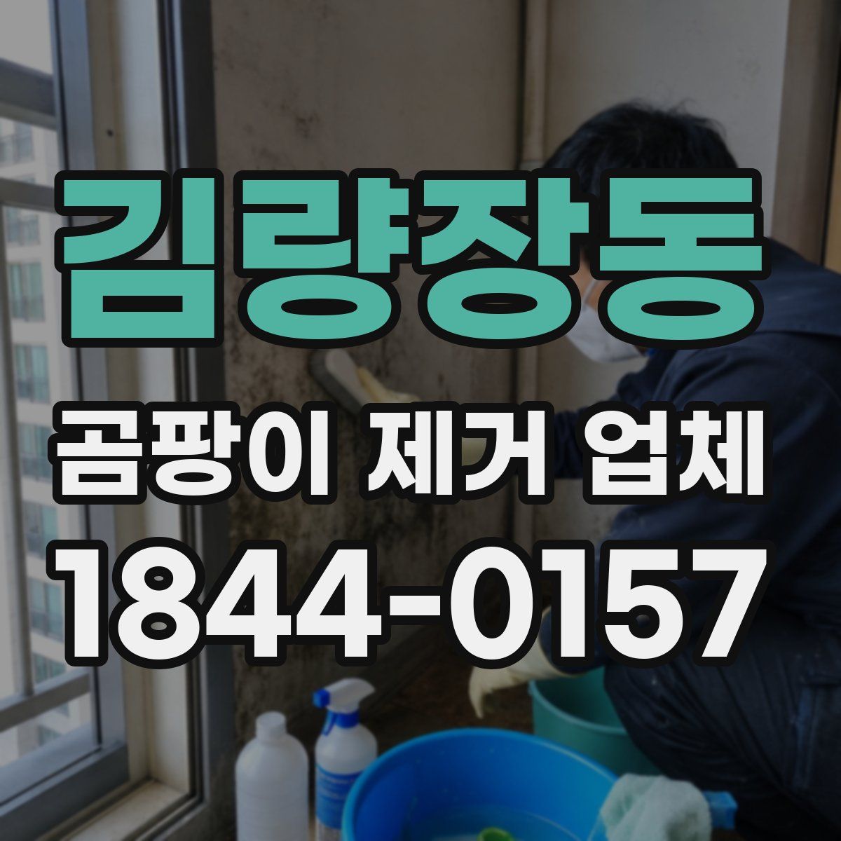 김량장동 곰팡이 제거 업체