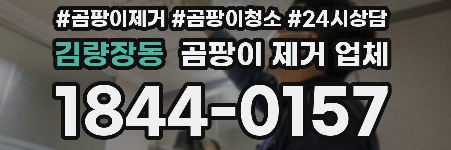 김량장동 곰팡이 제거 업체