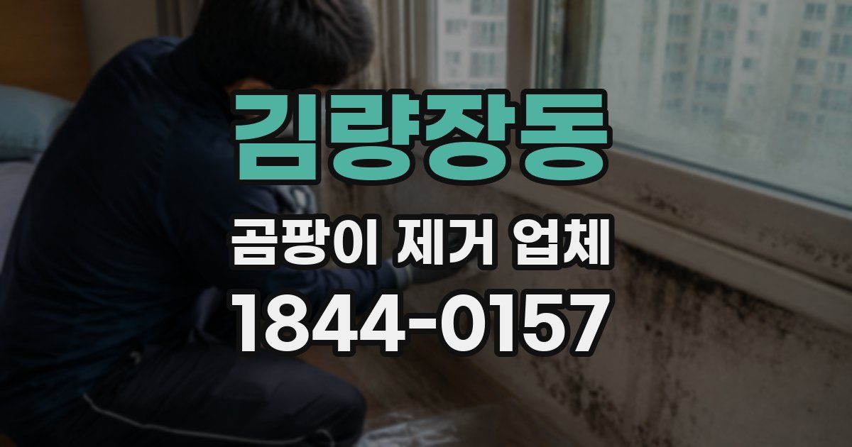 김량장동 곰팡이 제거 업체