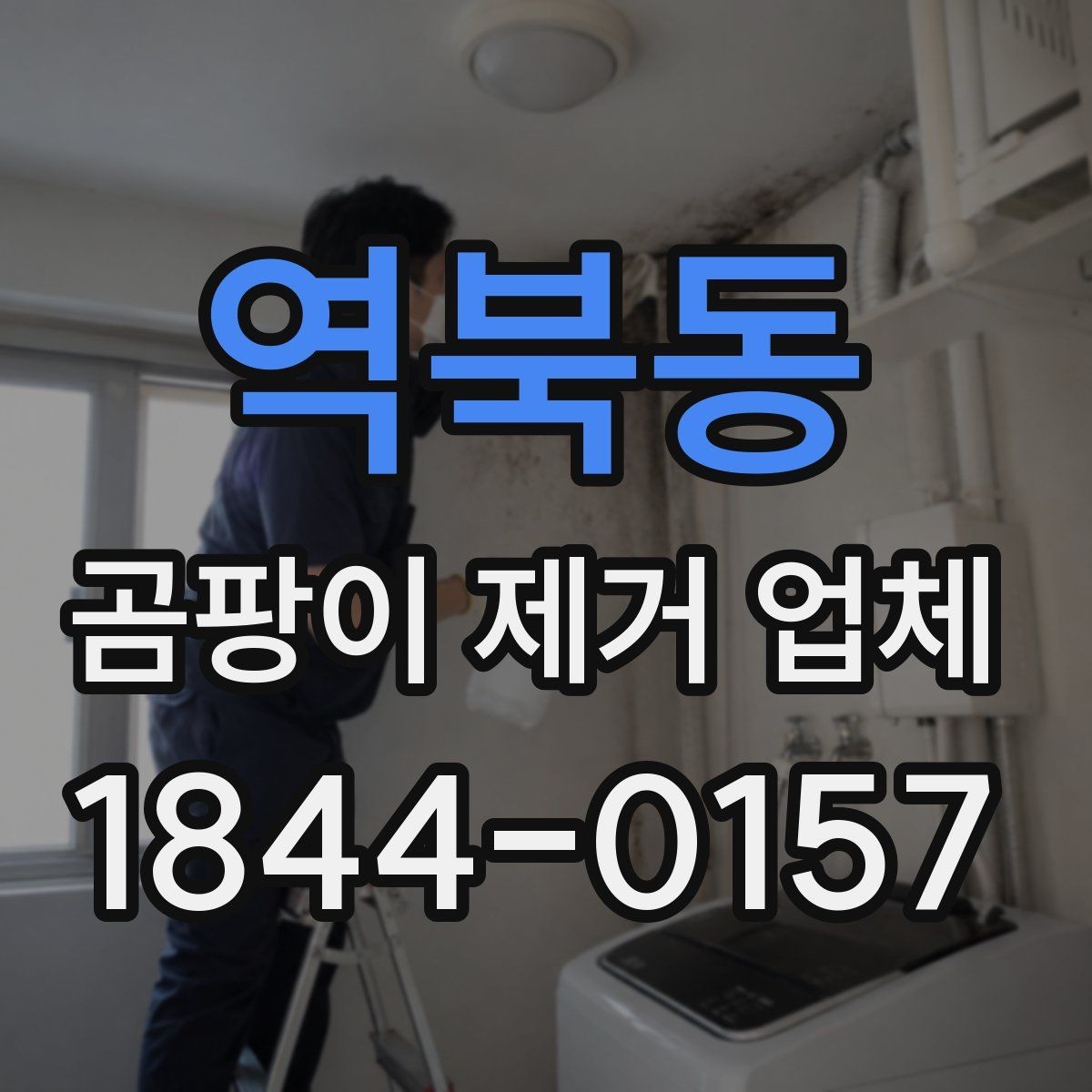 역북동 곰팡이 제거 업체 반복 오염을 줄이기 위한 환경 점검 포인트