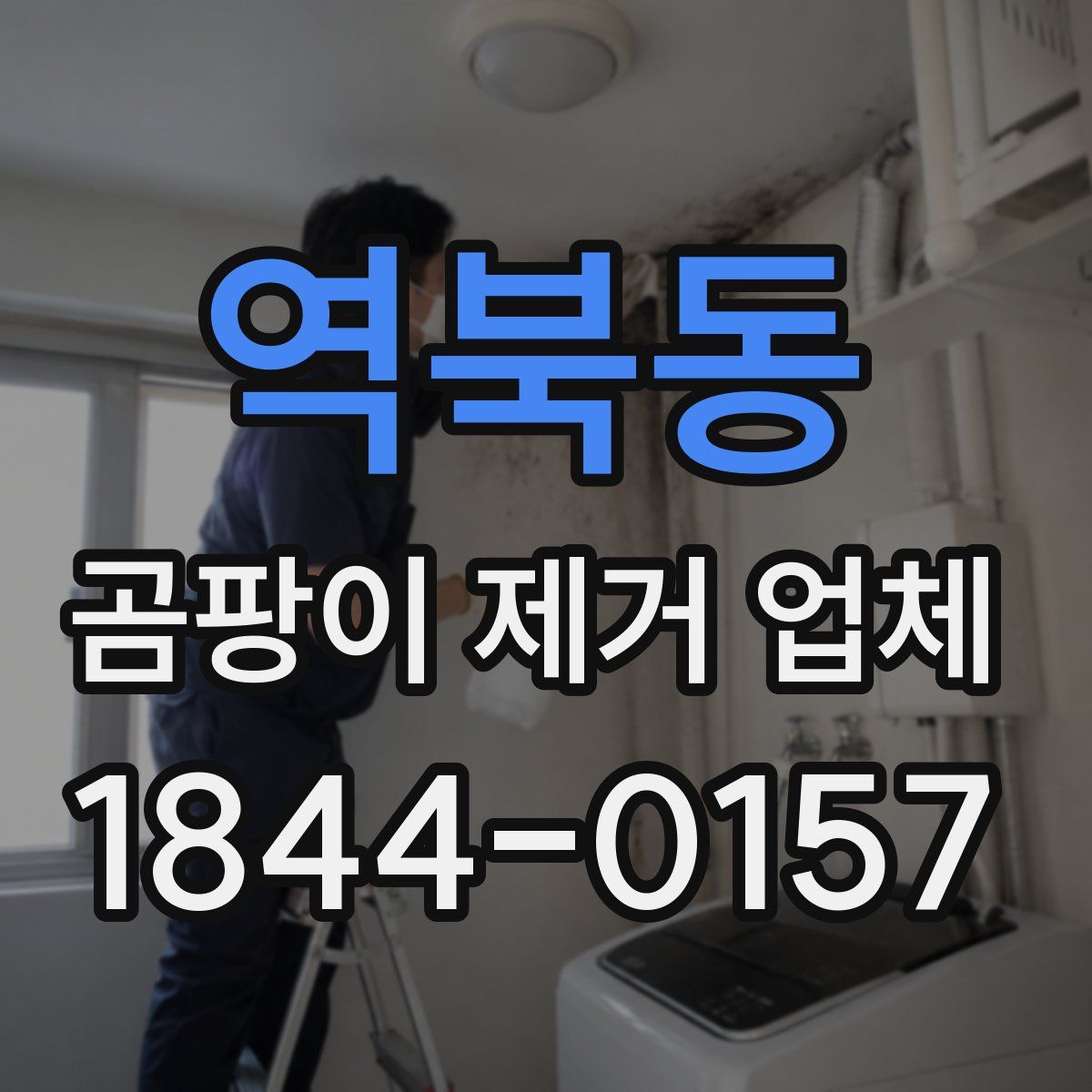 역북동 곰팡이 제거 업체