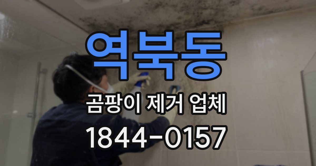 역북동 곰팡이 제거 업체