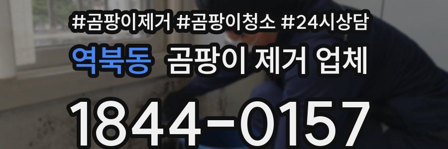 역북동 곰팡이 제거 업체
