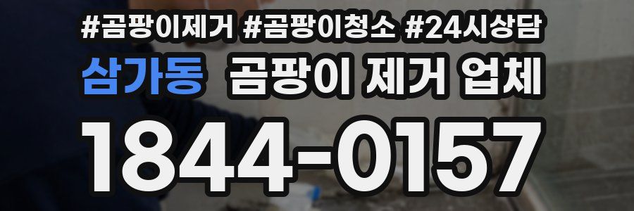 삼가동 곰팡이 제거 업체