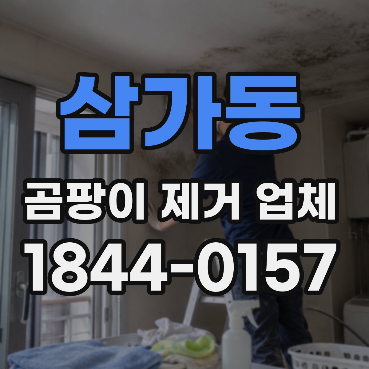 삼가동 곰팡이 제거 업체