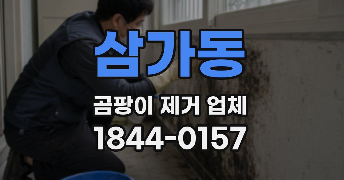 삼가동 곰팡이 제거 업체