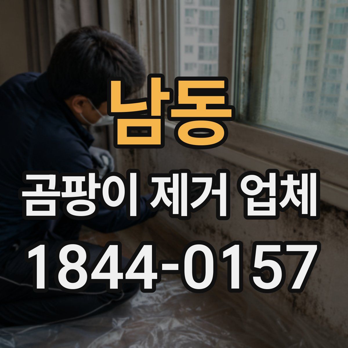 남동 곰팡이 제거 업체