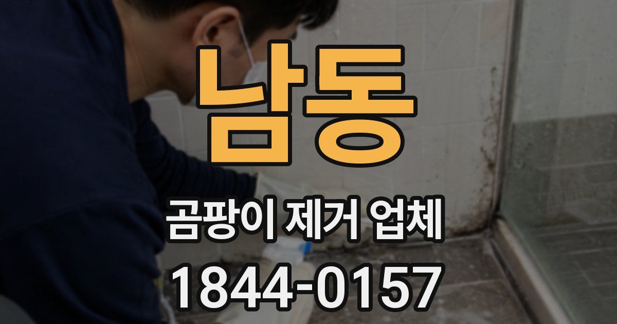 남동 곰팡이 제거 업체