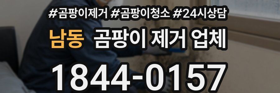 남동 곰팡이 제거 업체