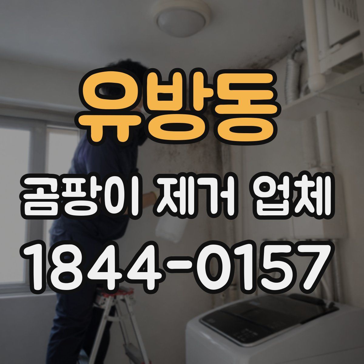 유방동 곰팡이 제거 업체