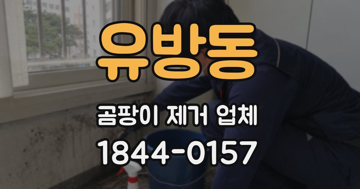 유방동 곰팡이 제거 업체