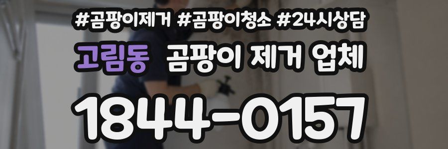 고림동 곰팡이 제거 업체