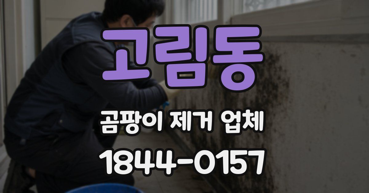 고림동 곰팡이 제거 업체