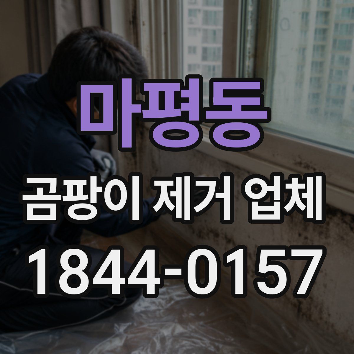 마평동 곰팡이 제거 업체
