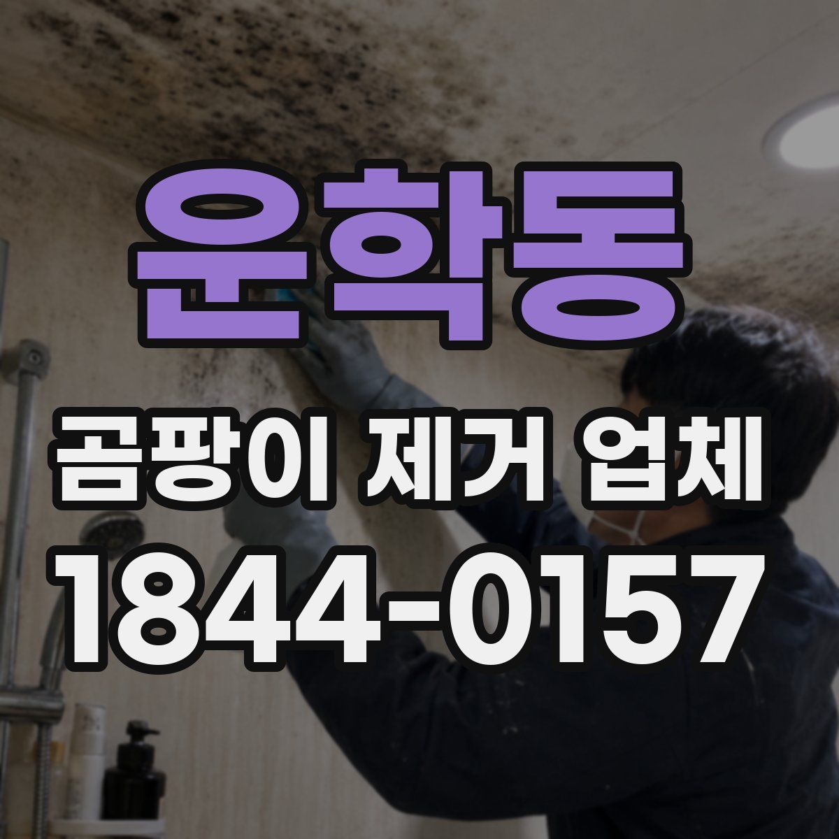 운학동 곰팡이 제거 업체