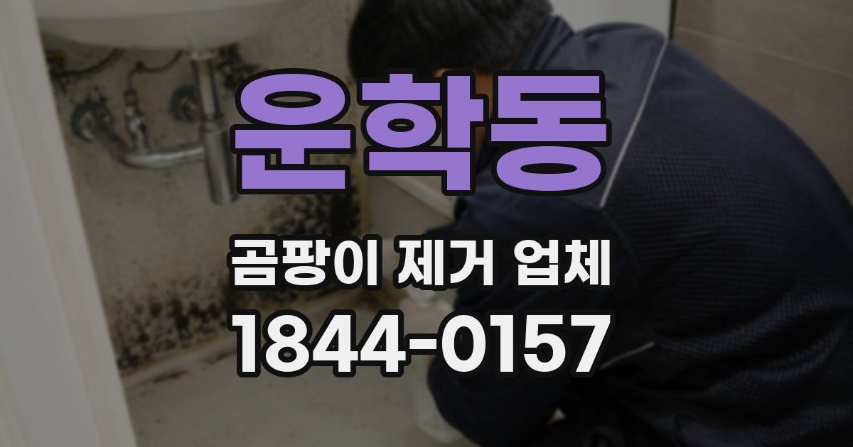 운학동 곰팡이 제거 업체