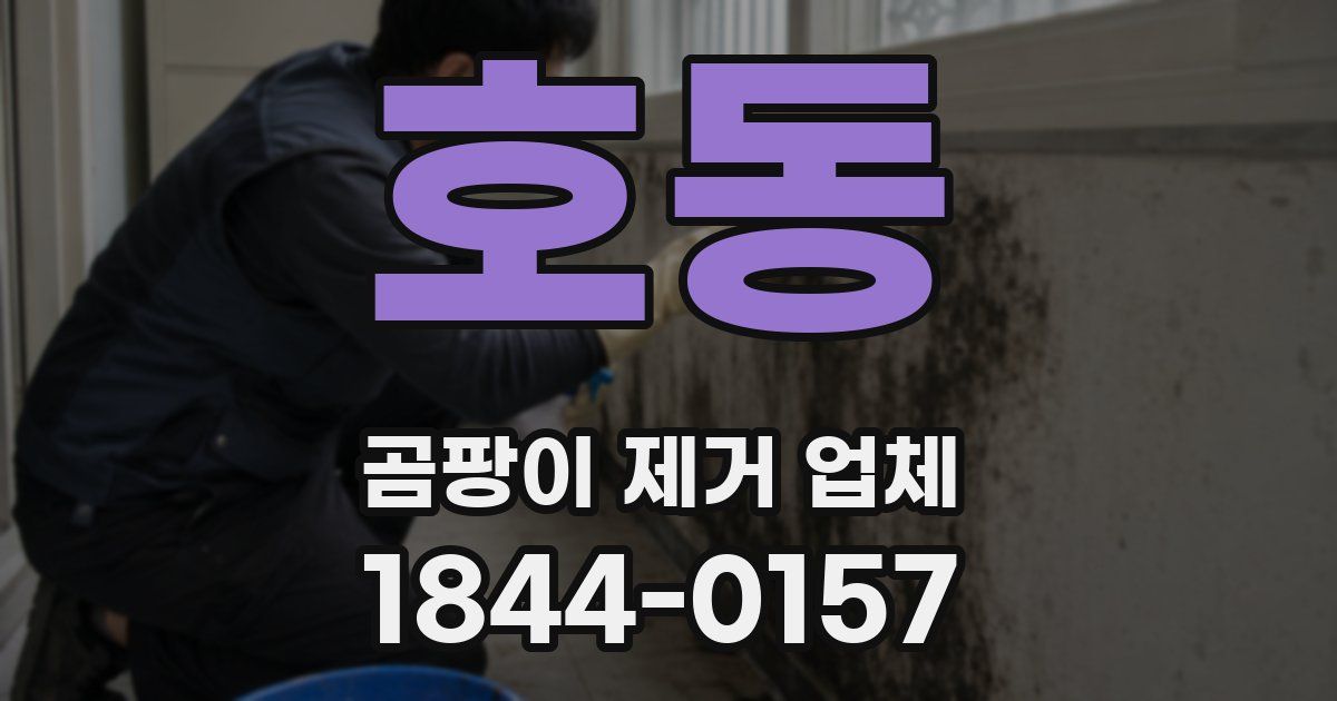 호동 곰팡이 제거 업체