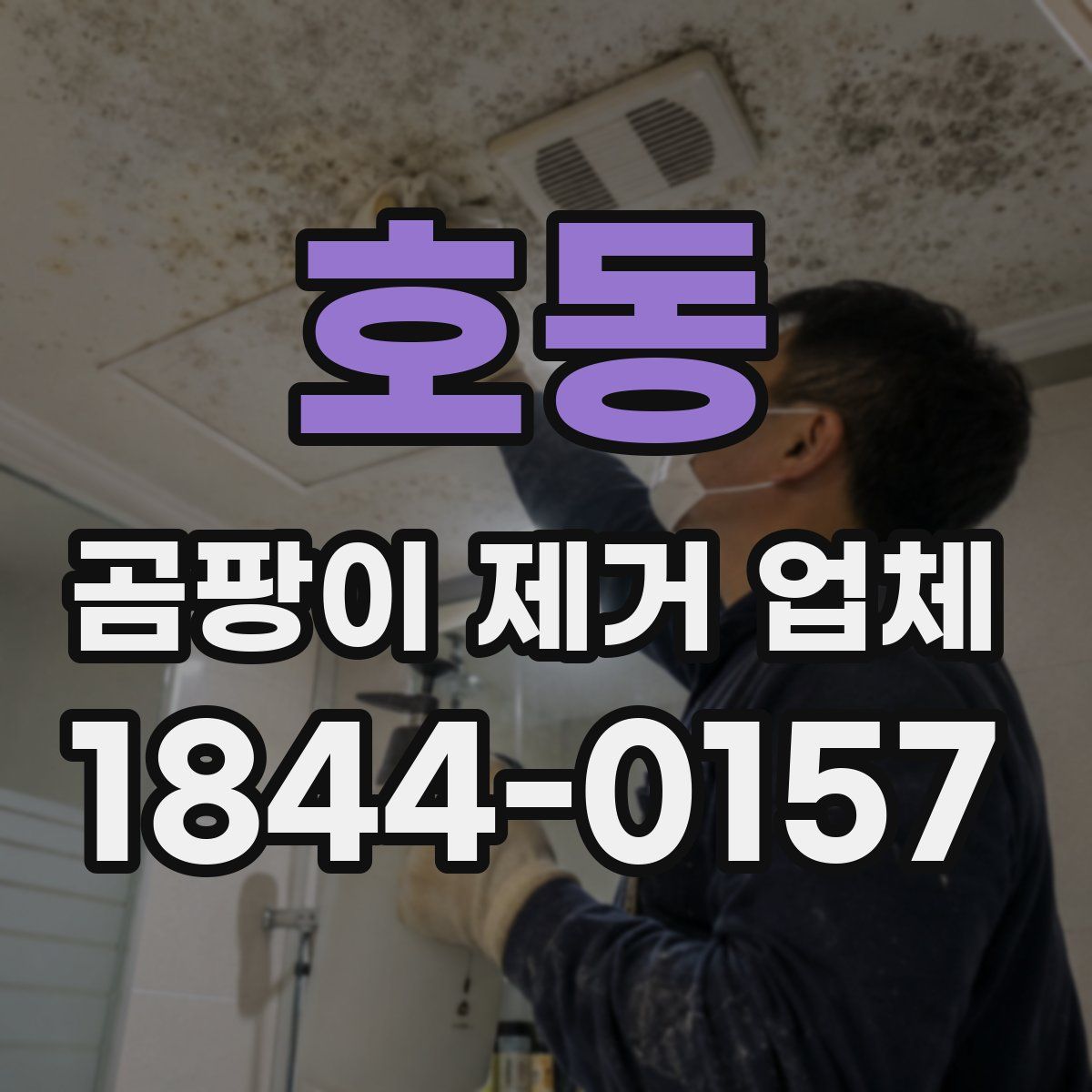 호동 곰팡이 제거 업체