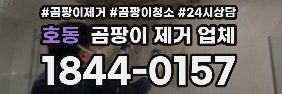 호동 곰팡이 제거 업체