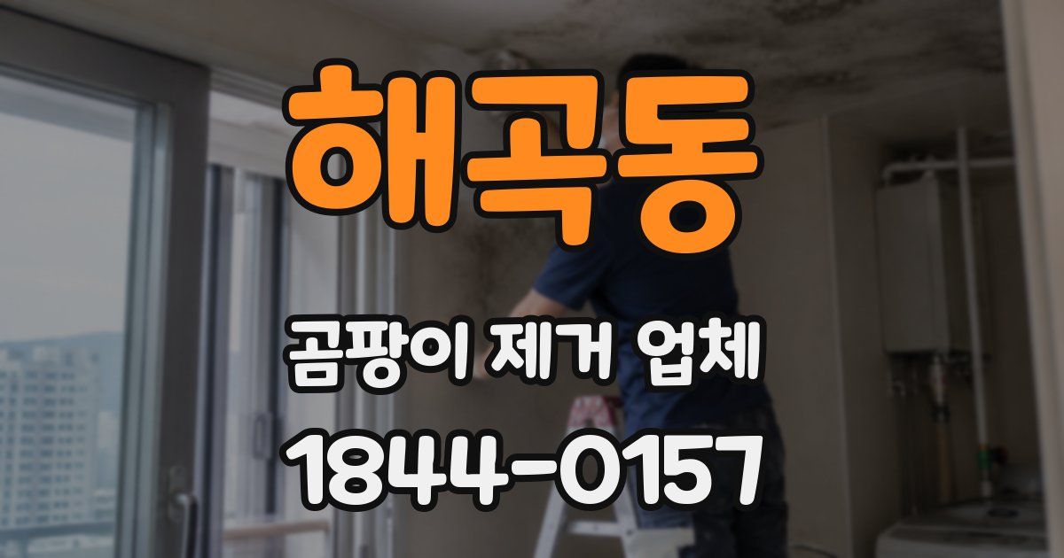 해곡동 곰팡이 제거 업체