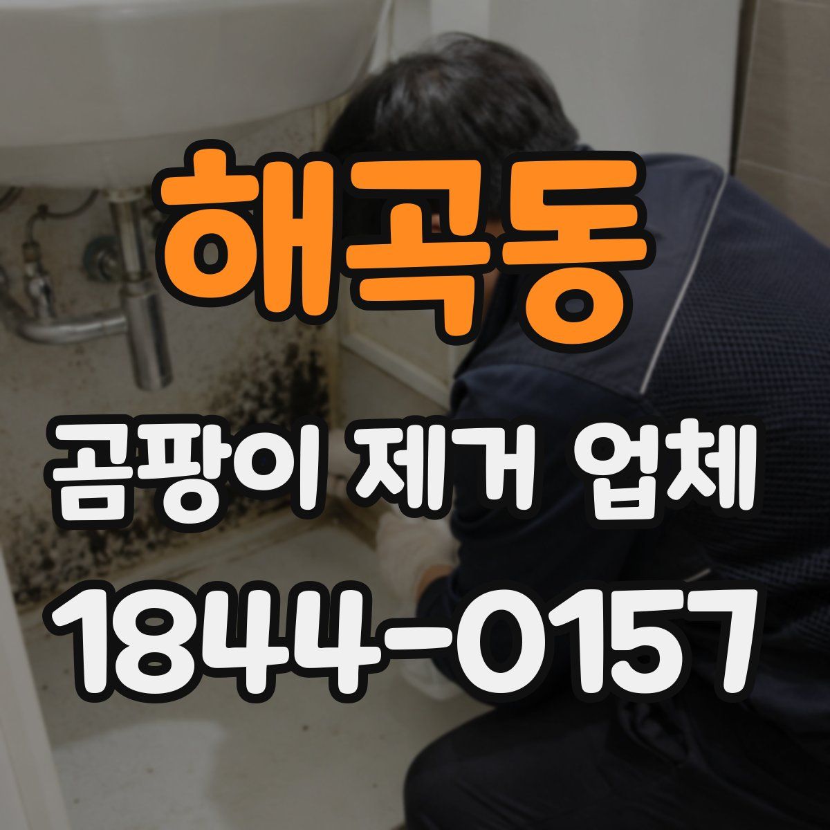 해곡동 곰팡이 제거 업체