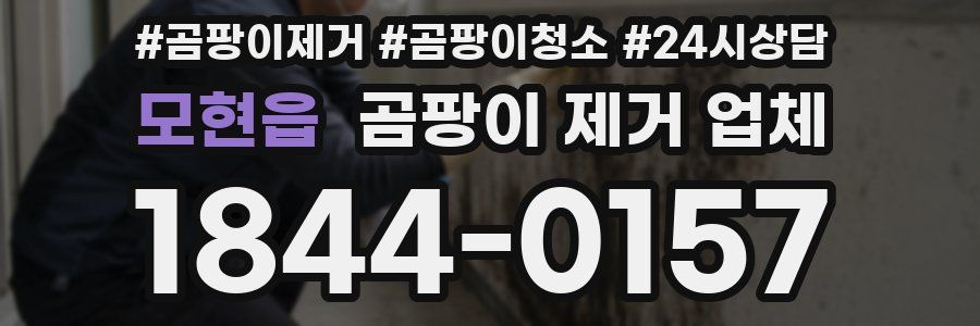 모현읍 곰팡이 제거 업체