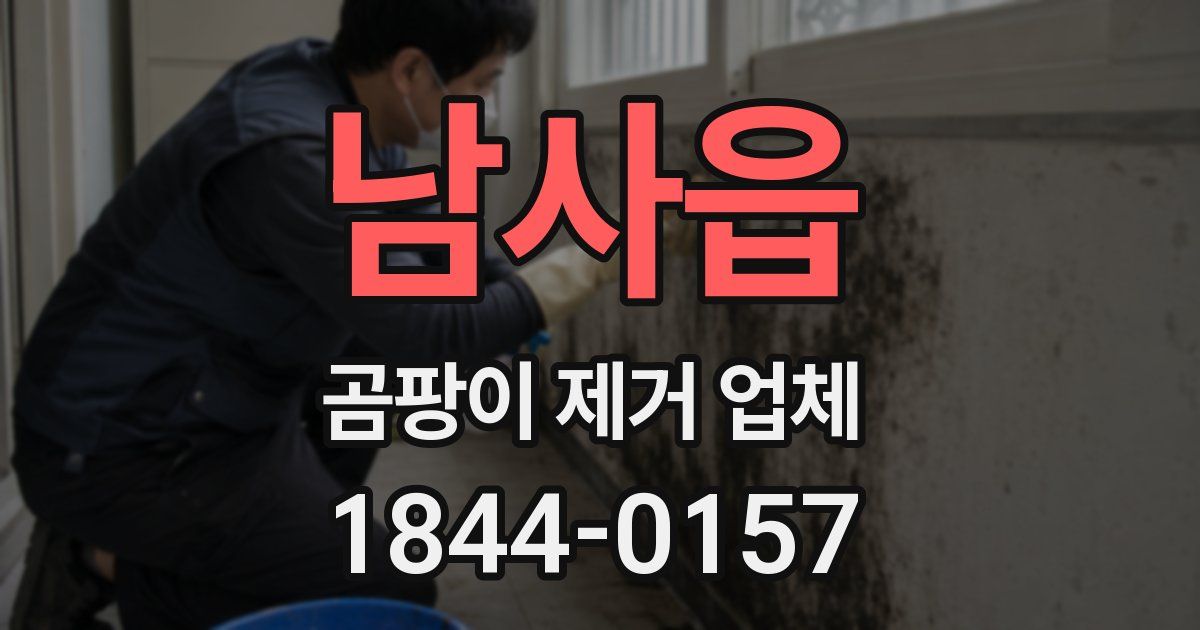 남사읍 곰팡이 제거 업체